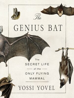 cover image of The Genius Bat